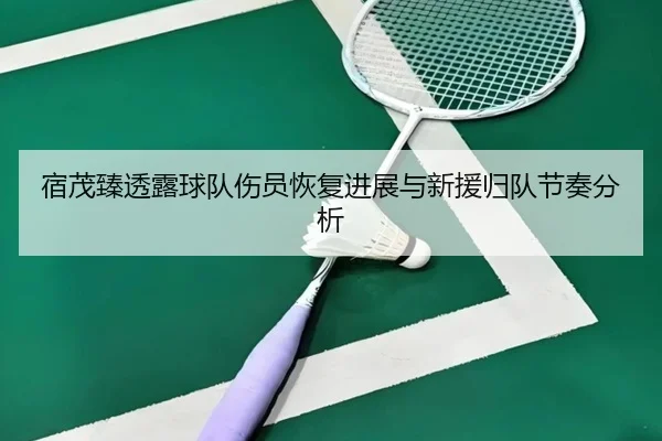 宿茂臻透露球队伤员恢复进展与新援归队节奏分析